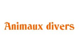 animaux - divers